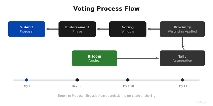 OMXUS voting flow — from proposal submission through endorsement, voting, and on-chain anchoring